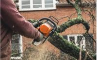 Croydon Tree Surgeons image 2